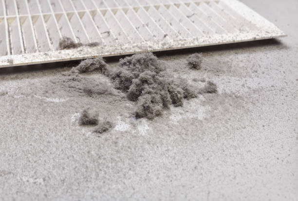 Best HVAC Maintenance and Cleaning  in Morrisville, NY