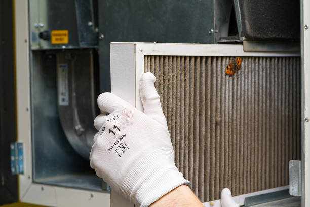 Best Professional Duct Cleaning Services  in Morrisville, NY