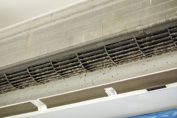 Best Best Air Duct Cleaning Company  in Morrisville, NY
